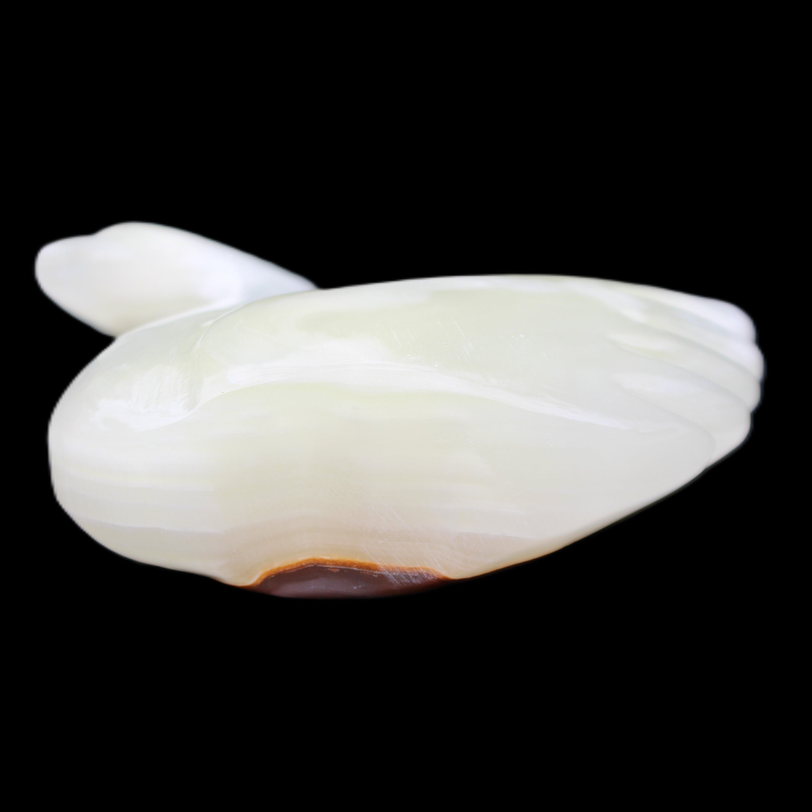 Afghan Jade hand-carved Swan 95*31*84mm 312g in sunlight - Rocks and Things Store