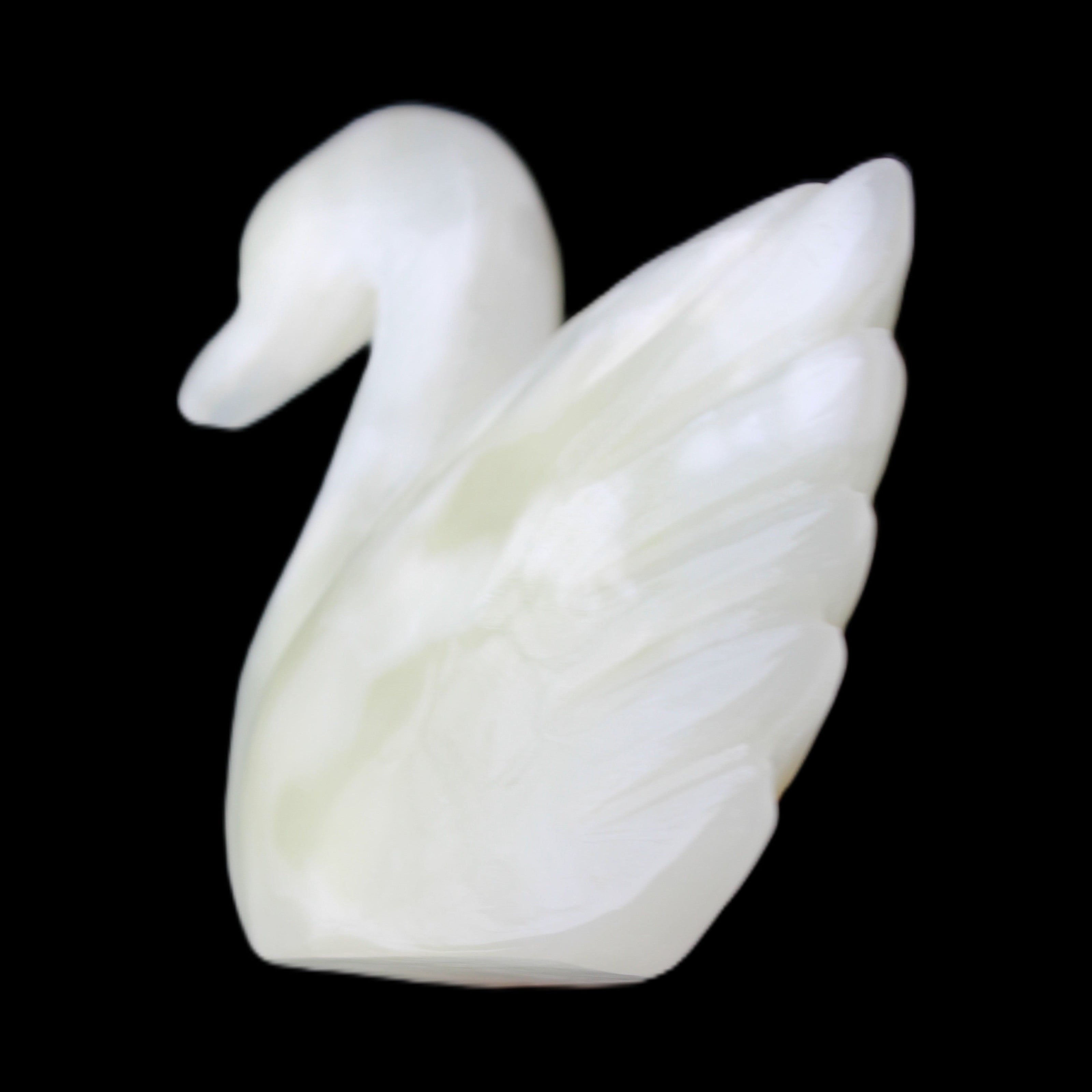 Afghan Jade hand-carved Swan 95*31*84mm 312g in sunlight - Rocks and Things Store