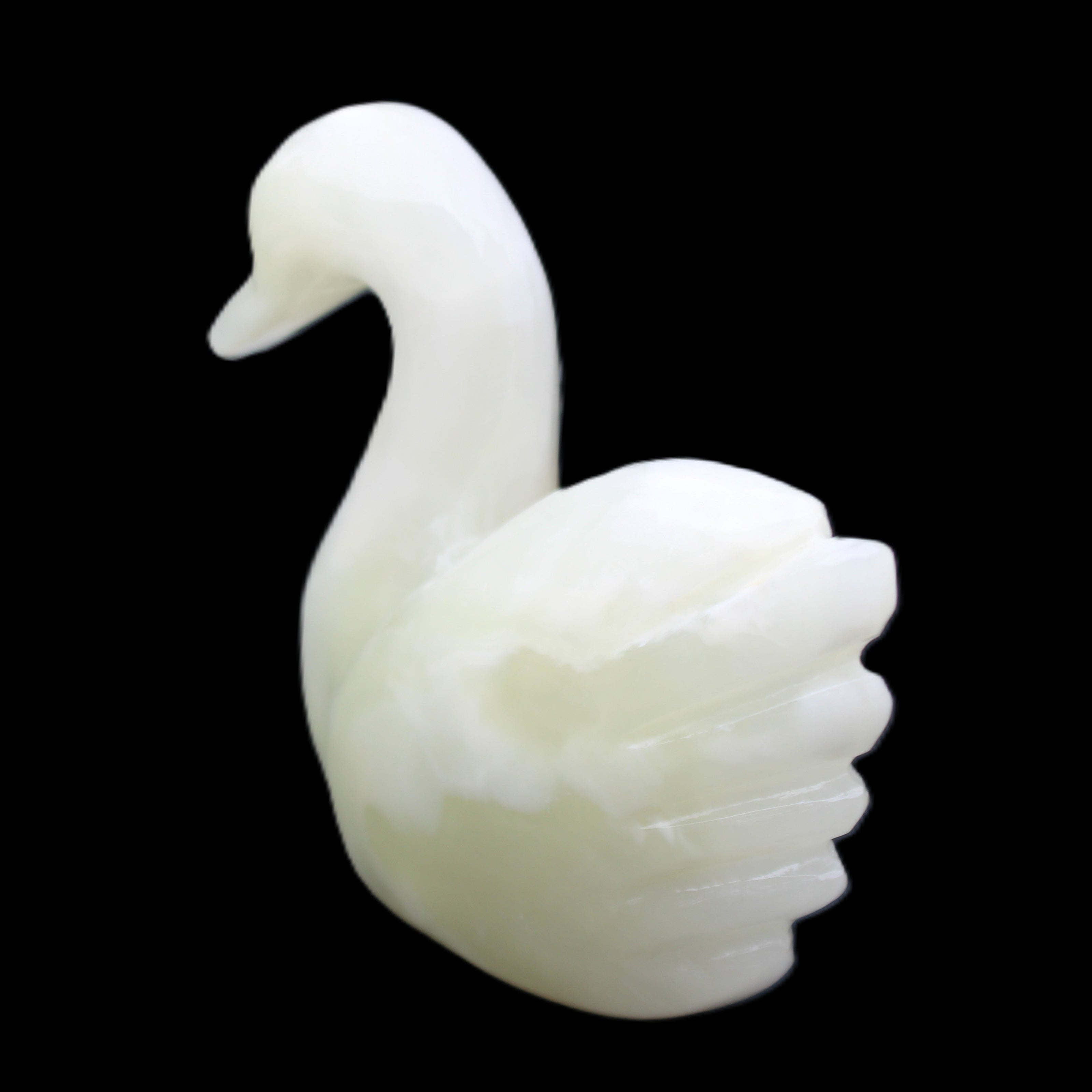 Afghan Jade hand-carved Swan 95*31*84mm 312g in sunlight - Rocks and Things Store