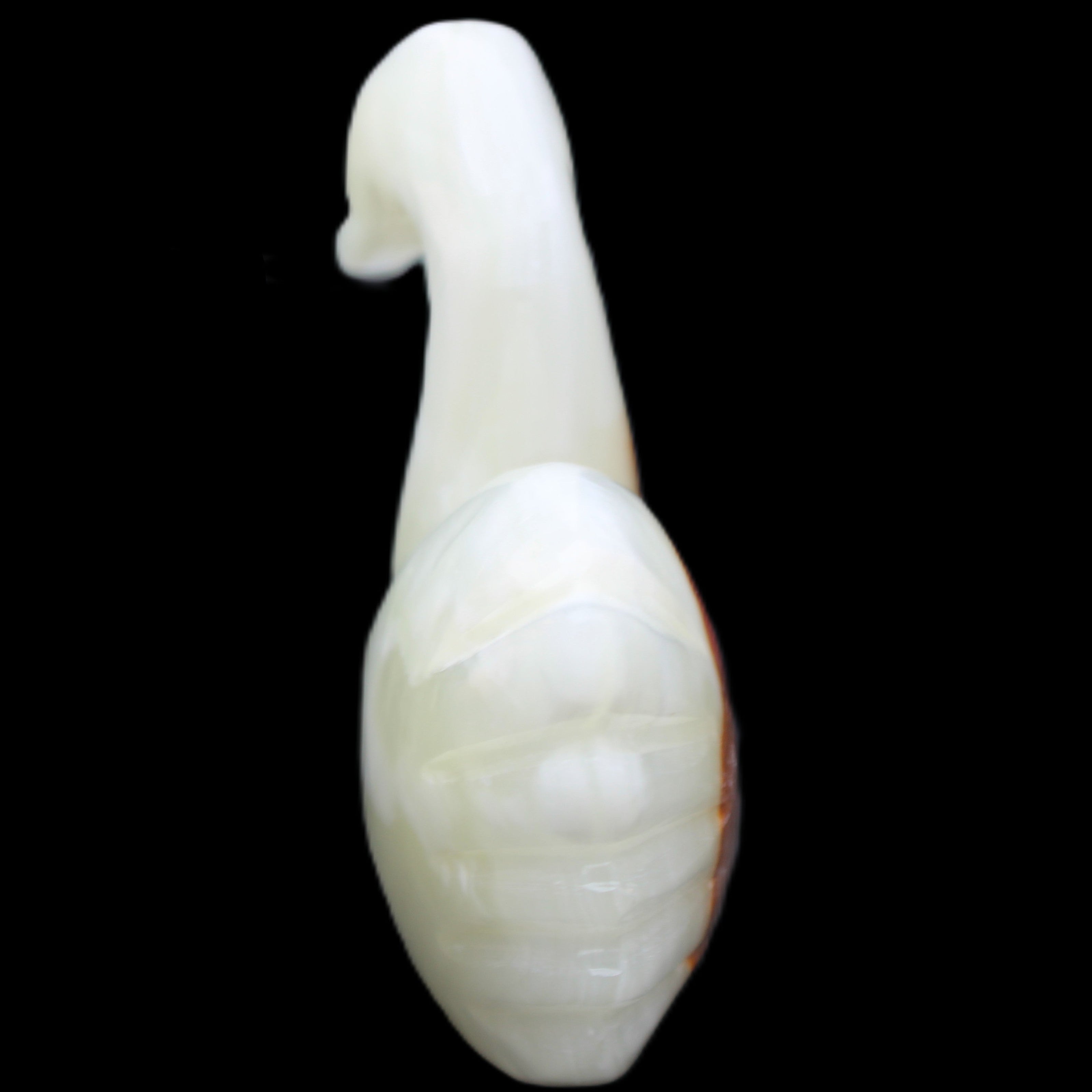 Afghan Jade hand-carved Swan 95*31*84mm 312g in sunlight - Rocks and Things Store