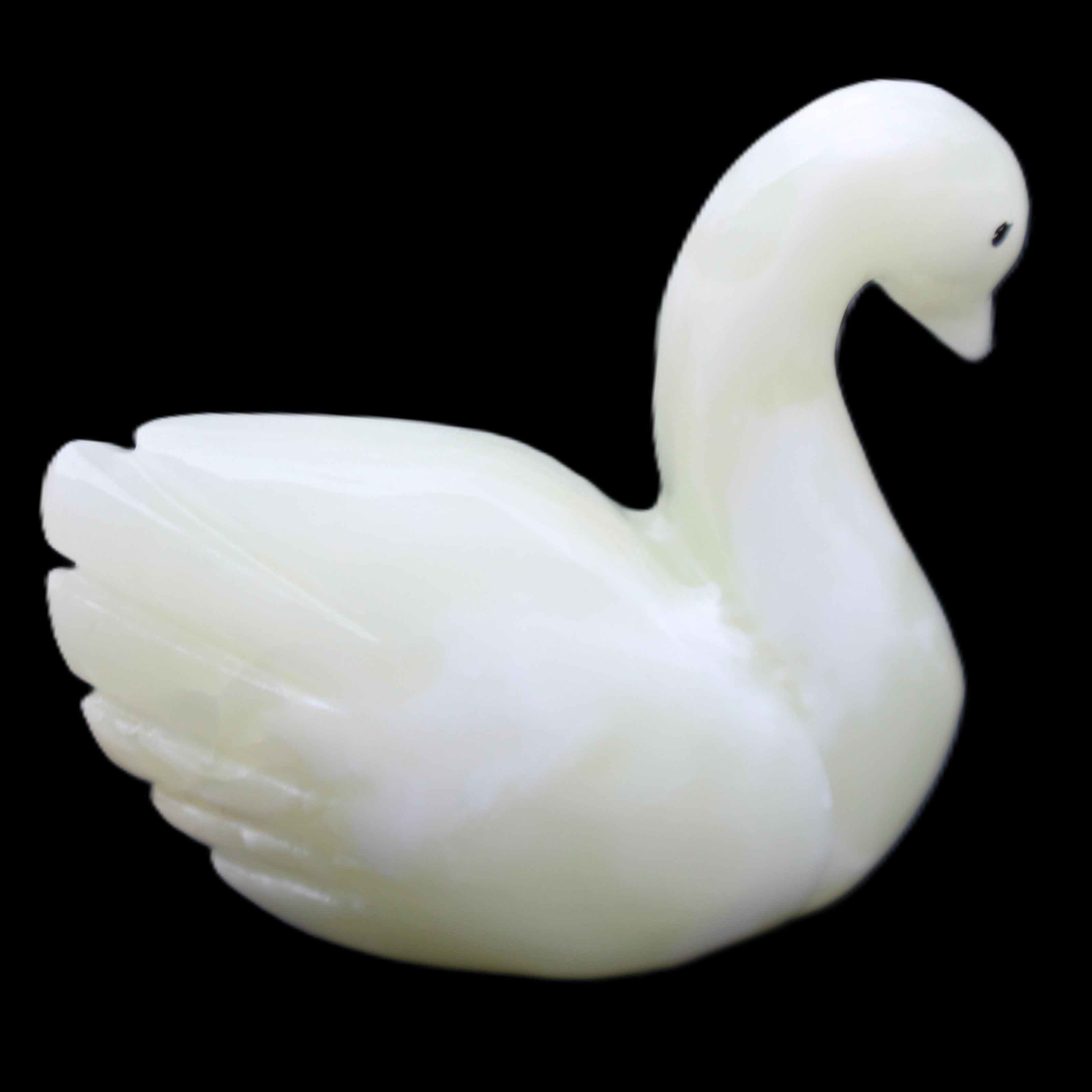 Afghan Jade hand-carved Swan 95*31*87mm 309g in sunlight - Rocks and Things Store
