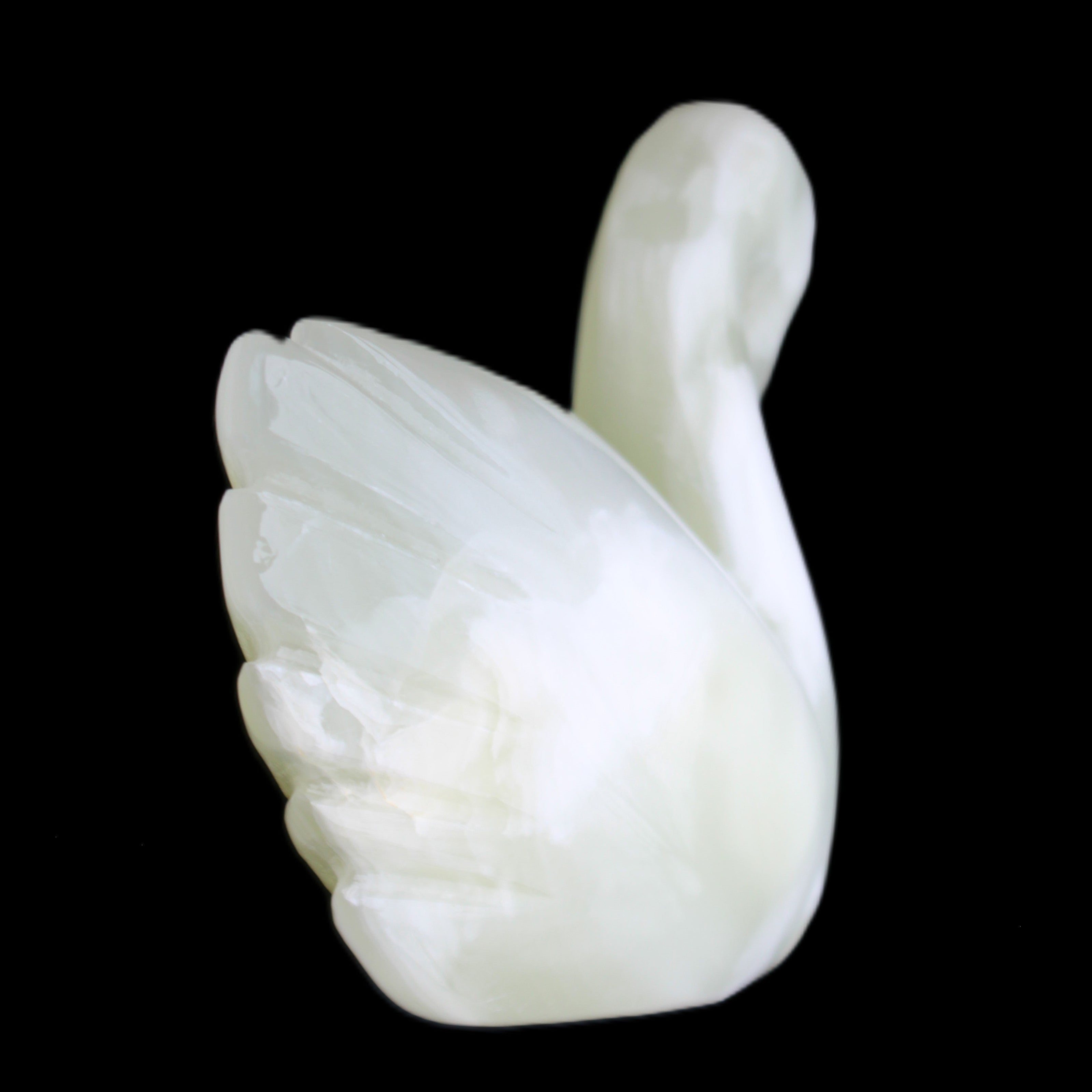 Afghan Jade hand-carved Swan 95*31*87mm 309g in sunlight - Rocks and Things Store