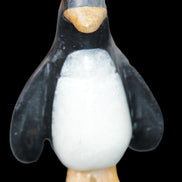 Jade and marble hand-carved Penguin 68*45*97mm 282g in sunlight - Rocks and Things Store