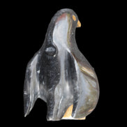 Jade and marble hand-carved Penguin 68*45*97mm 282g in sunlight - Rocks and Things Store