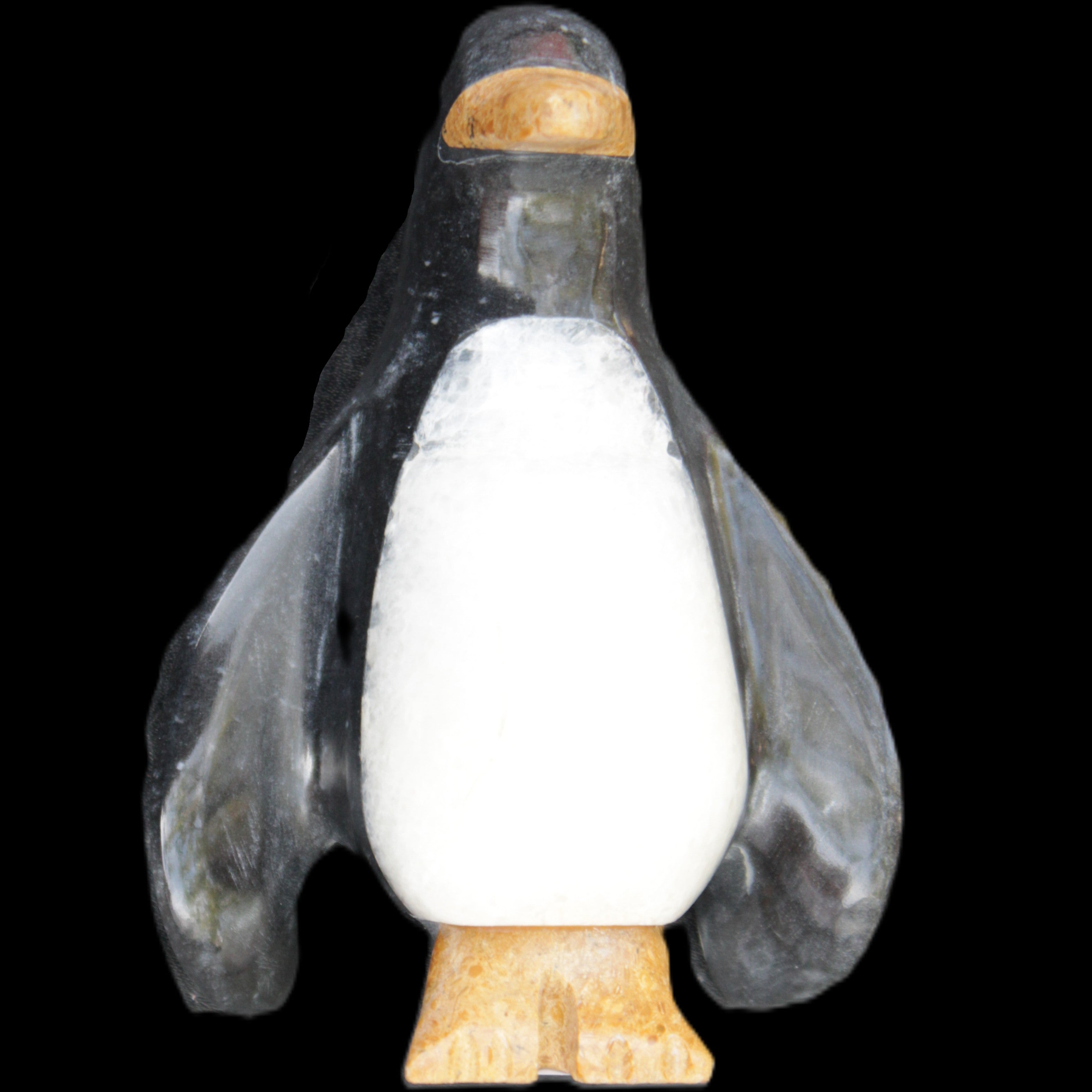 Jade and marble hand-carved Penguin 68*45*97mm 282g in sunlight - Rocks and Things Store
