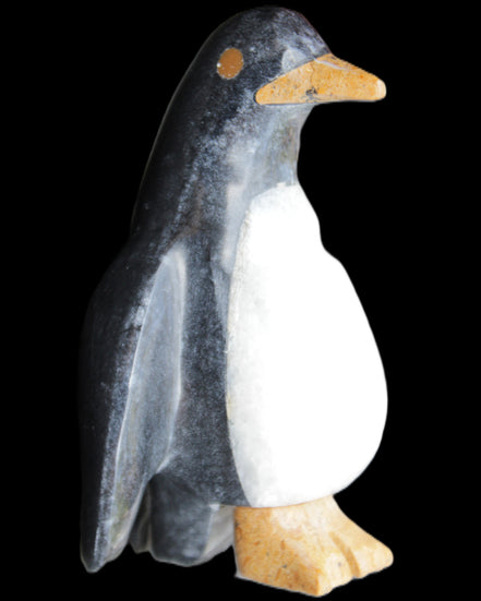 Jade and marble hand-carved Penguin 68*48*103mm 276g in sunlight - Rocks and Things Store