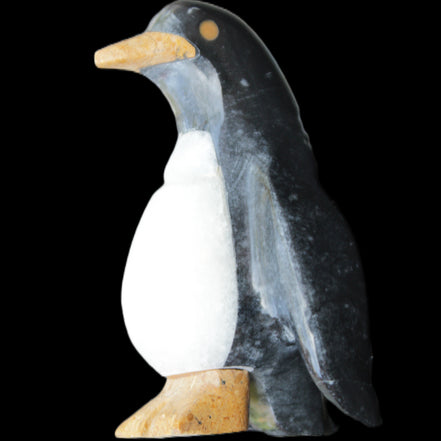 Jade and marble hand-carved Penguin 68*48*103mm 276g in sunlight - Rocks and Things Store