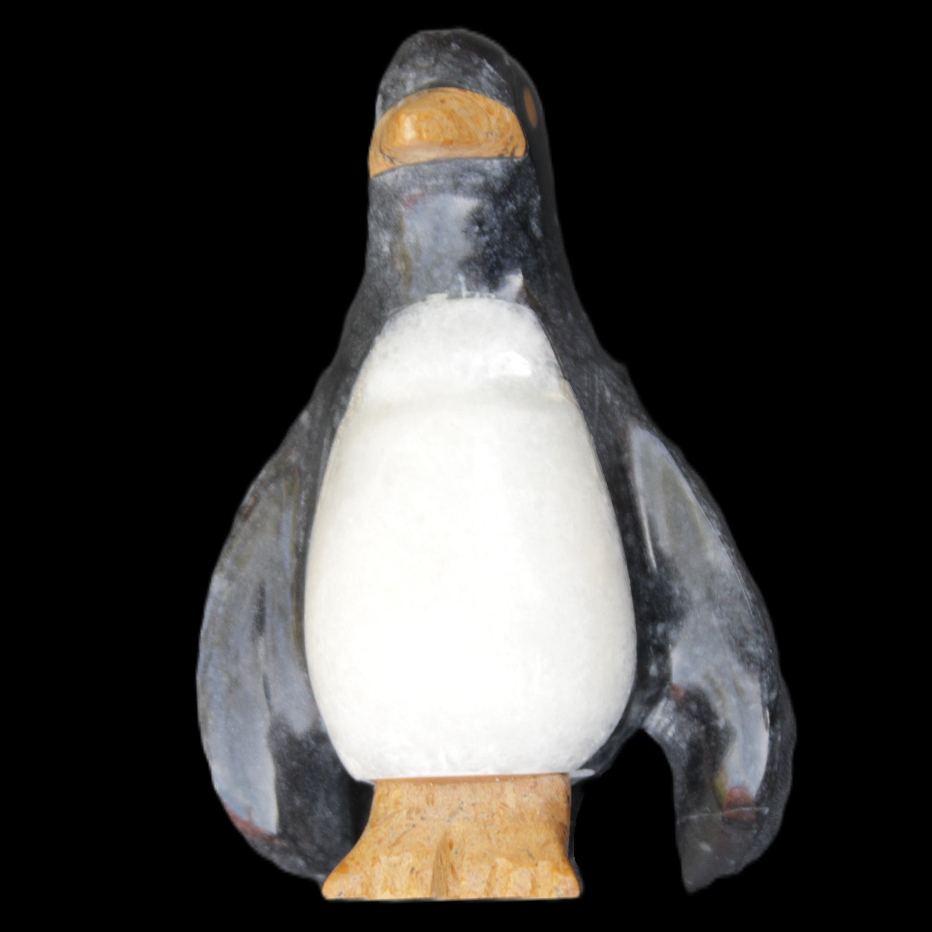 Jade and marble hand-carved Penguin 68*48*103mm 276g in sunlight - Rocks and Things Store