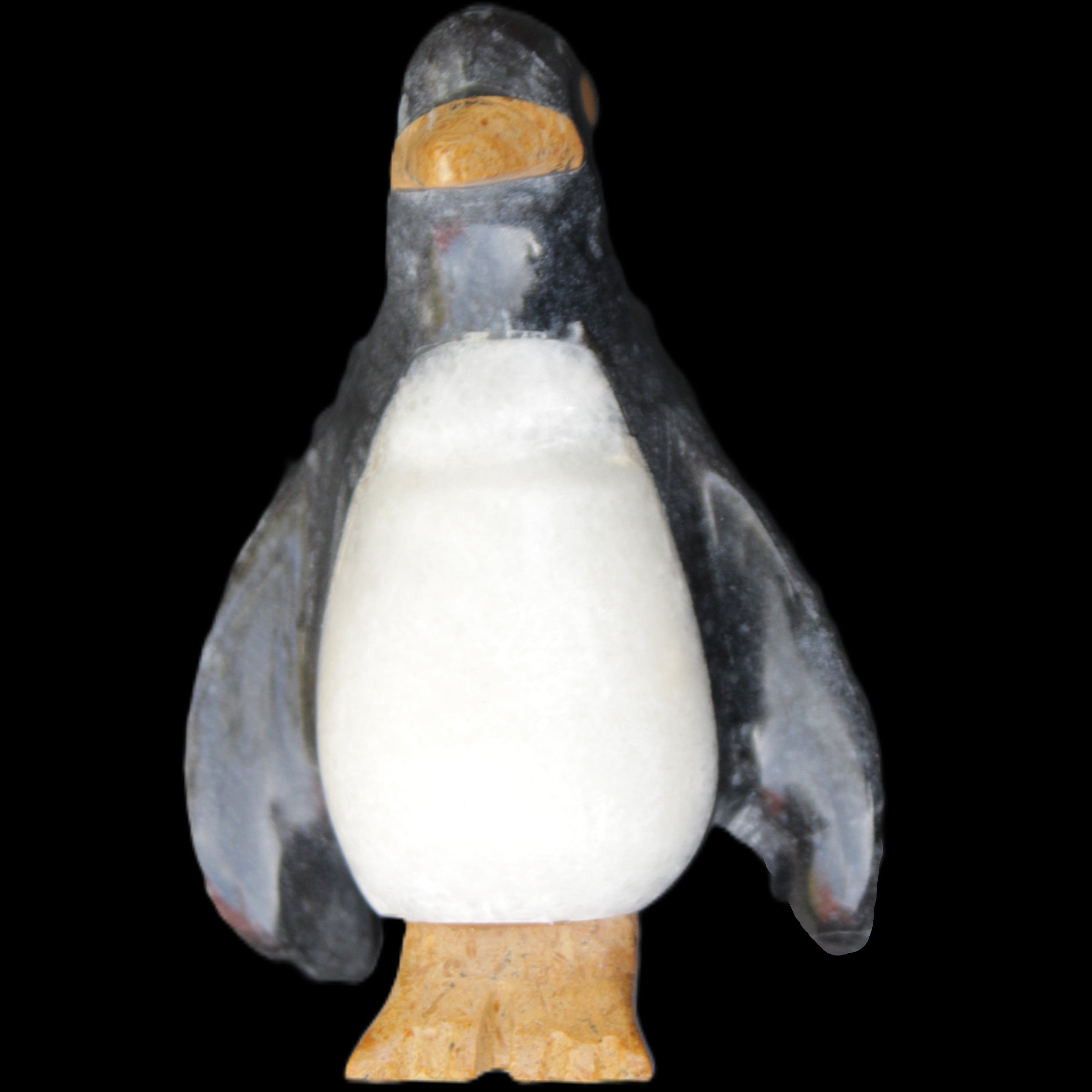 Jade and marble hand-carved Penguin 68*48*103mm 276g in sunlight - Rocks and Things Store
