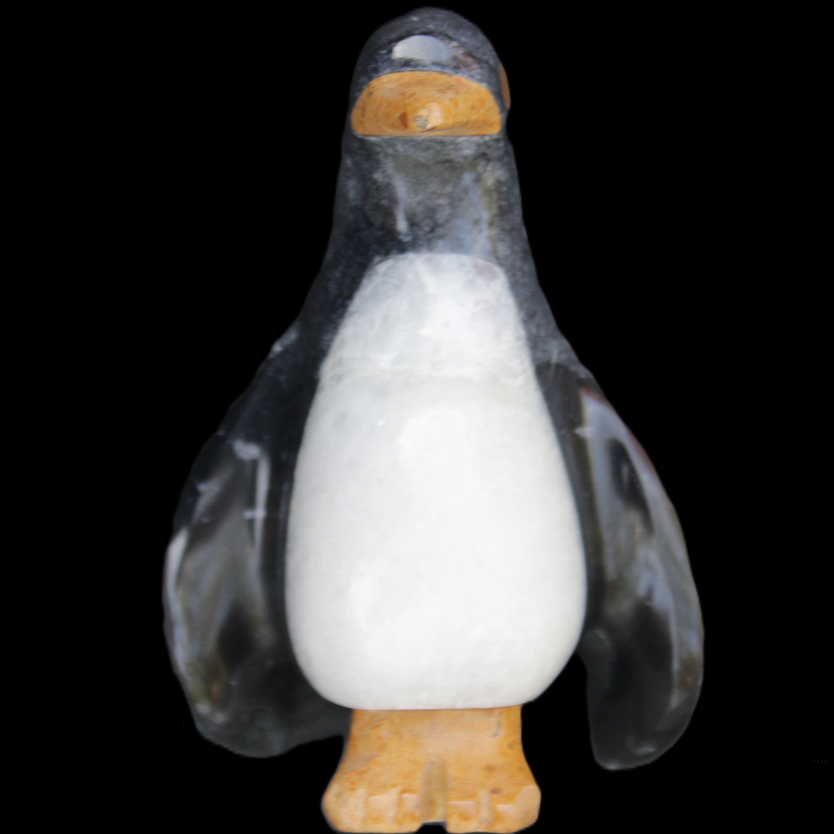 Jade and marble hand-carved Penguin 66*47*104mm 285g in sunlight - Rocks and Things Store