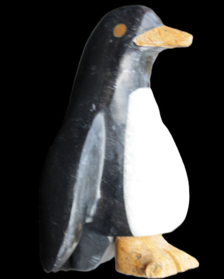 Jade hand-carved Penguin 70*43*97mm 277g in sunlight - Rocks and Things Store