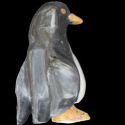 Jade hand-carved Penguin 70*43*97mm 277g in sunlight - Rocks and Things Store