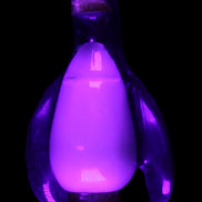 Jade hand-carved Penguin 93*61*154mm 787g in UV light - Rocks and Things Store