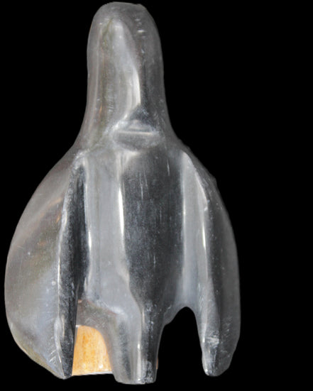 Jade hand-carved Penguin 93*61*154mm 787g in sunlight - Rocks and Things Store