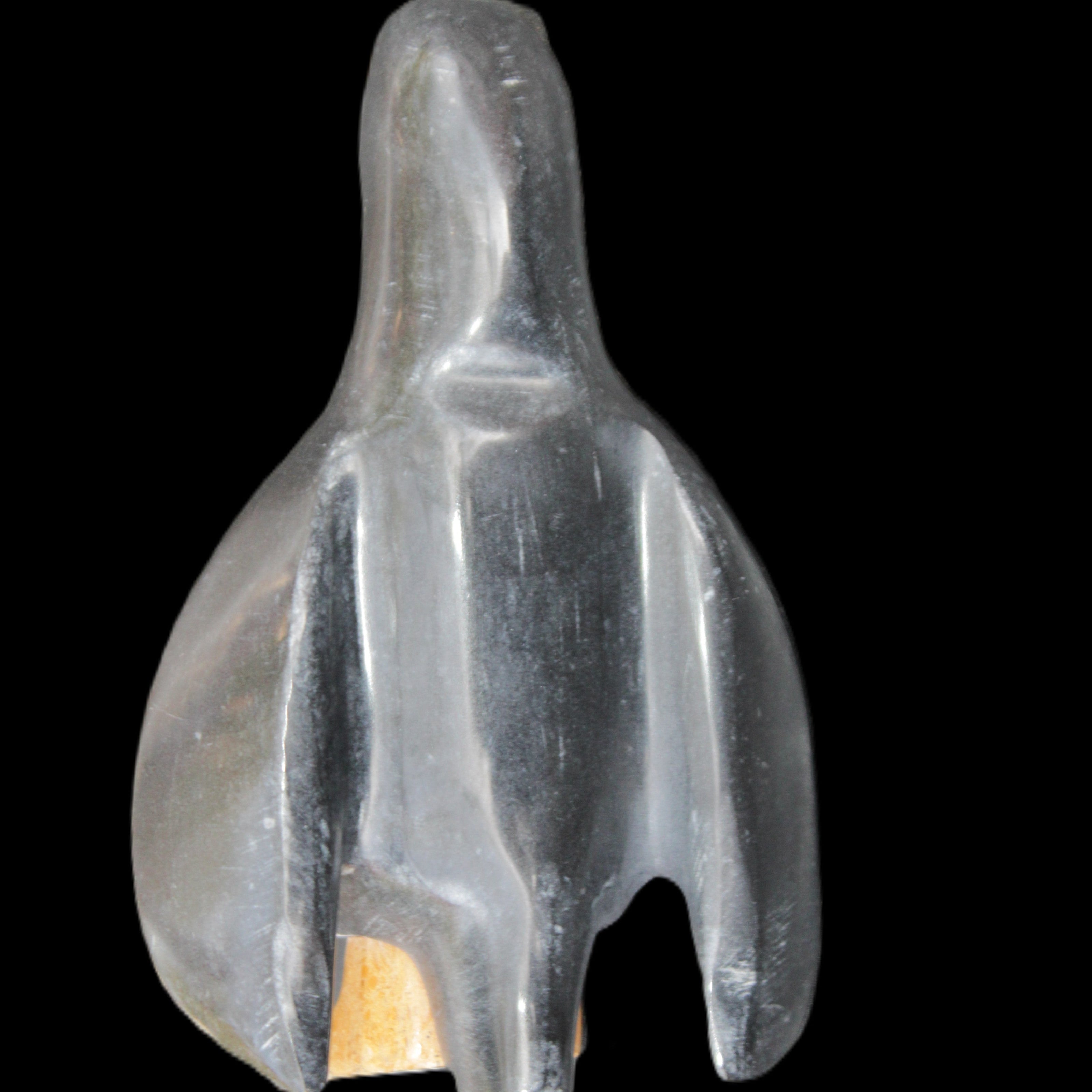 Jade hand-carved Penguin 93*61*154mm 787g in sunlight - Rocks and Things Store