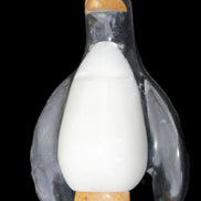 Jade hand-carved Penguin 93*61*154mm 787g in sunlight - Rocks and Things Store