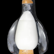 Jade hand-carved Penguin 93*61*154mm 787g in sunlight - Rocks and Things Store