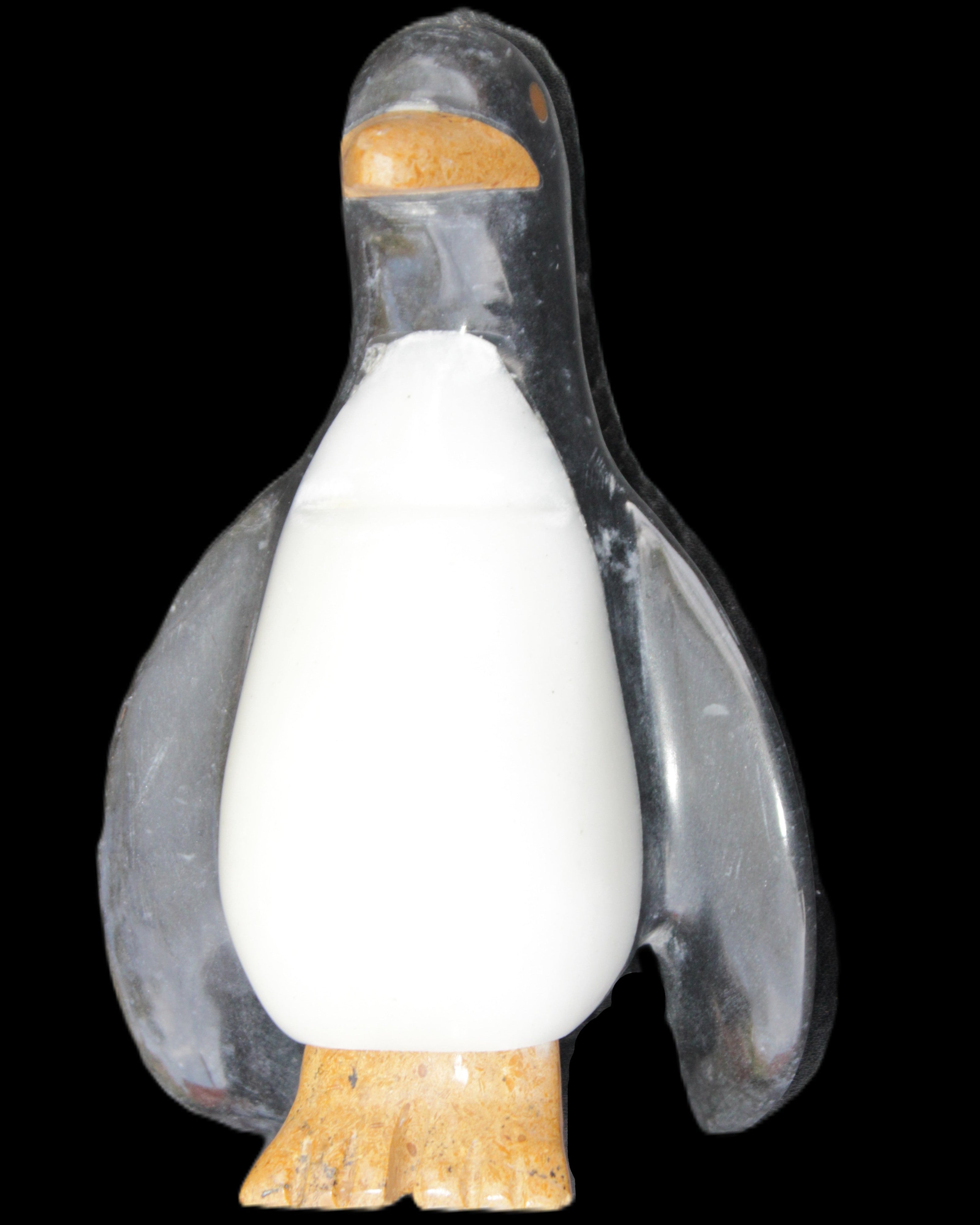Jade hand-carved Penguin 93*61*154mm 787g in sunlight - Rocks and Things Store