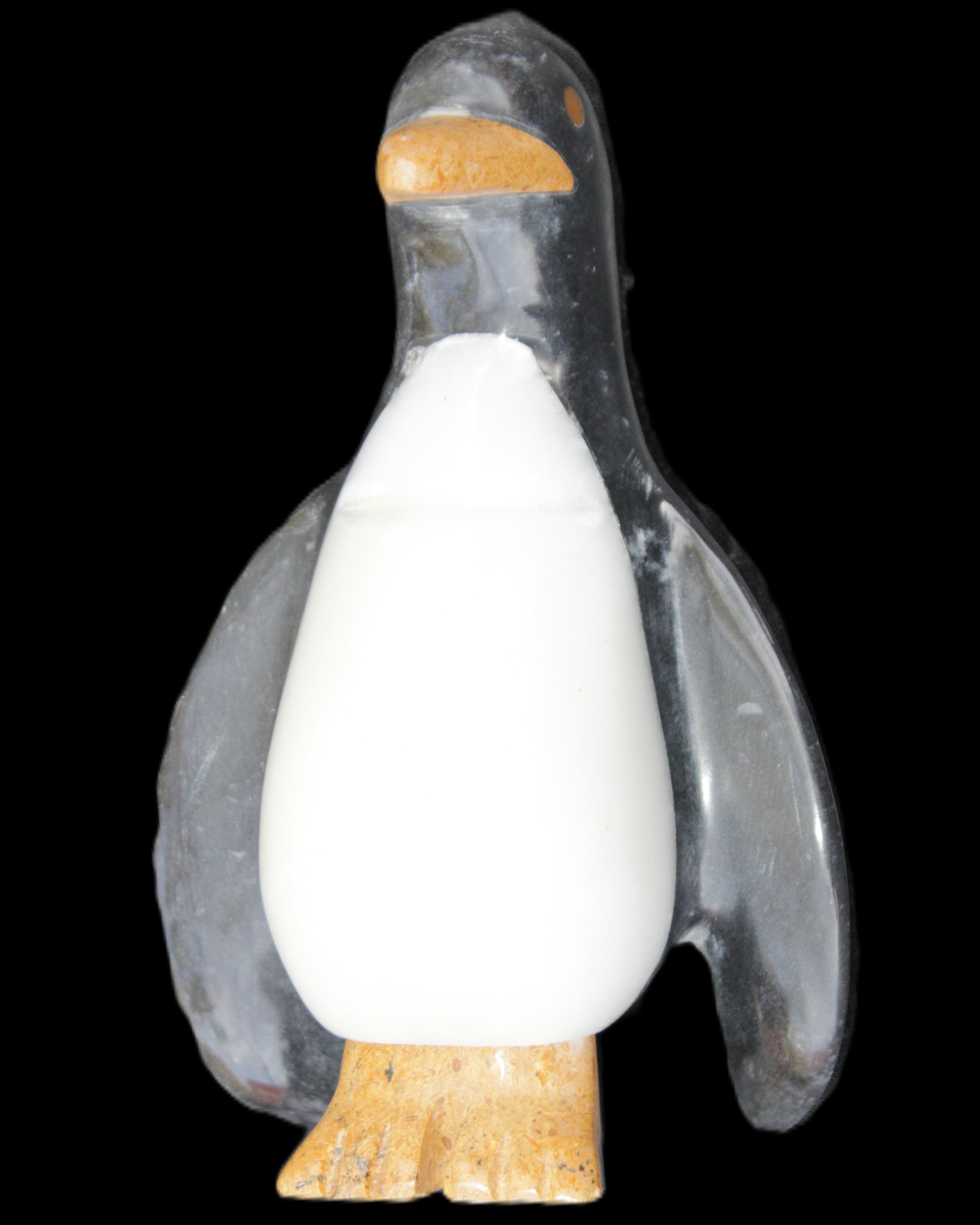 Jade hand-carved Penguin 93*61*154mm 787g in sunlight - Rocks and Things Store