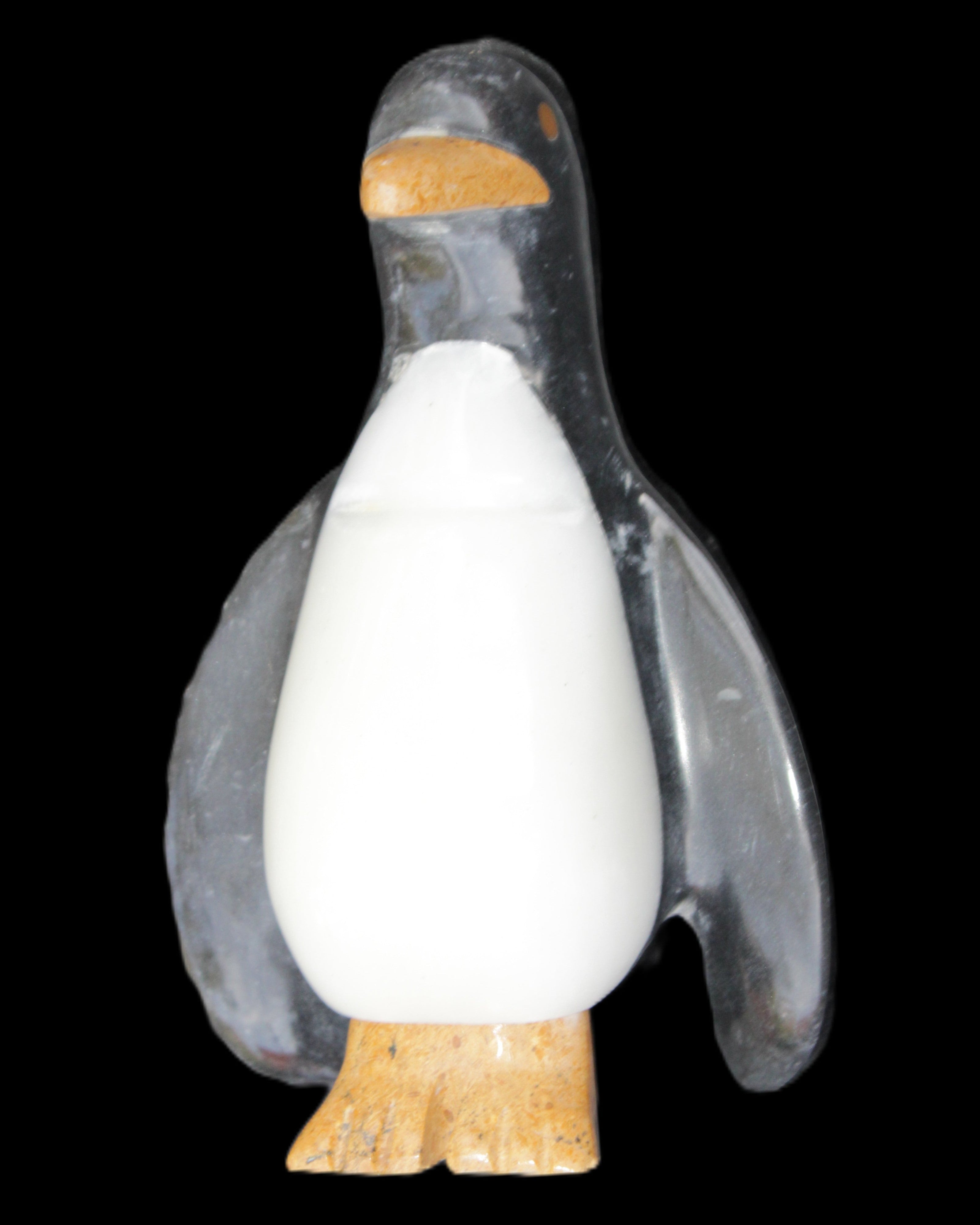 Jade hand-carved Penguin 93*61*154mm 787g in sunlight - Rocks and Things Store