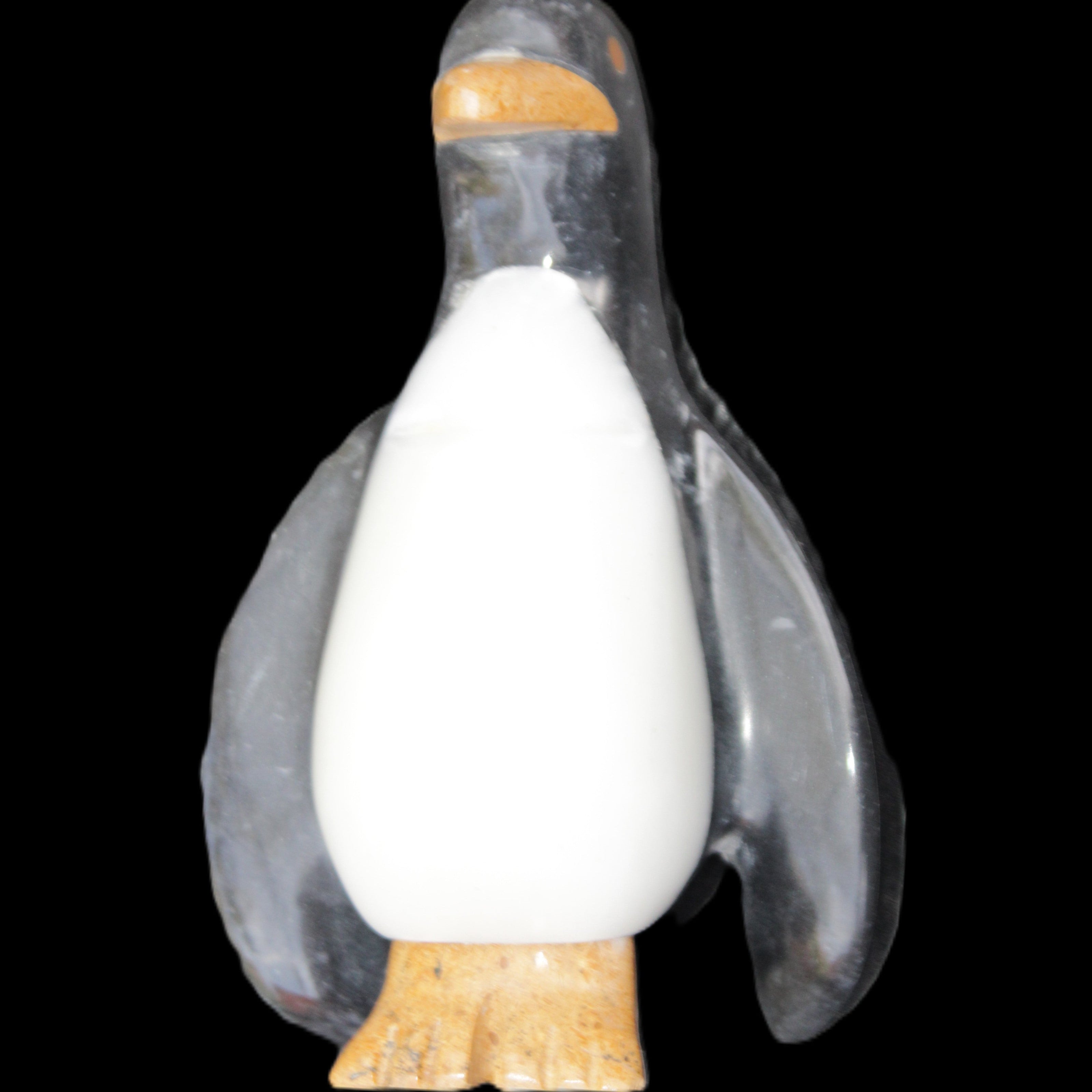 Jade hand-carved Penguin 93*61*154mm 787g in sunlight - Rocks and Things Store