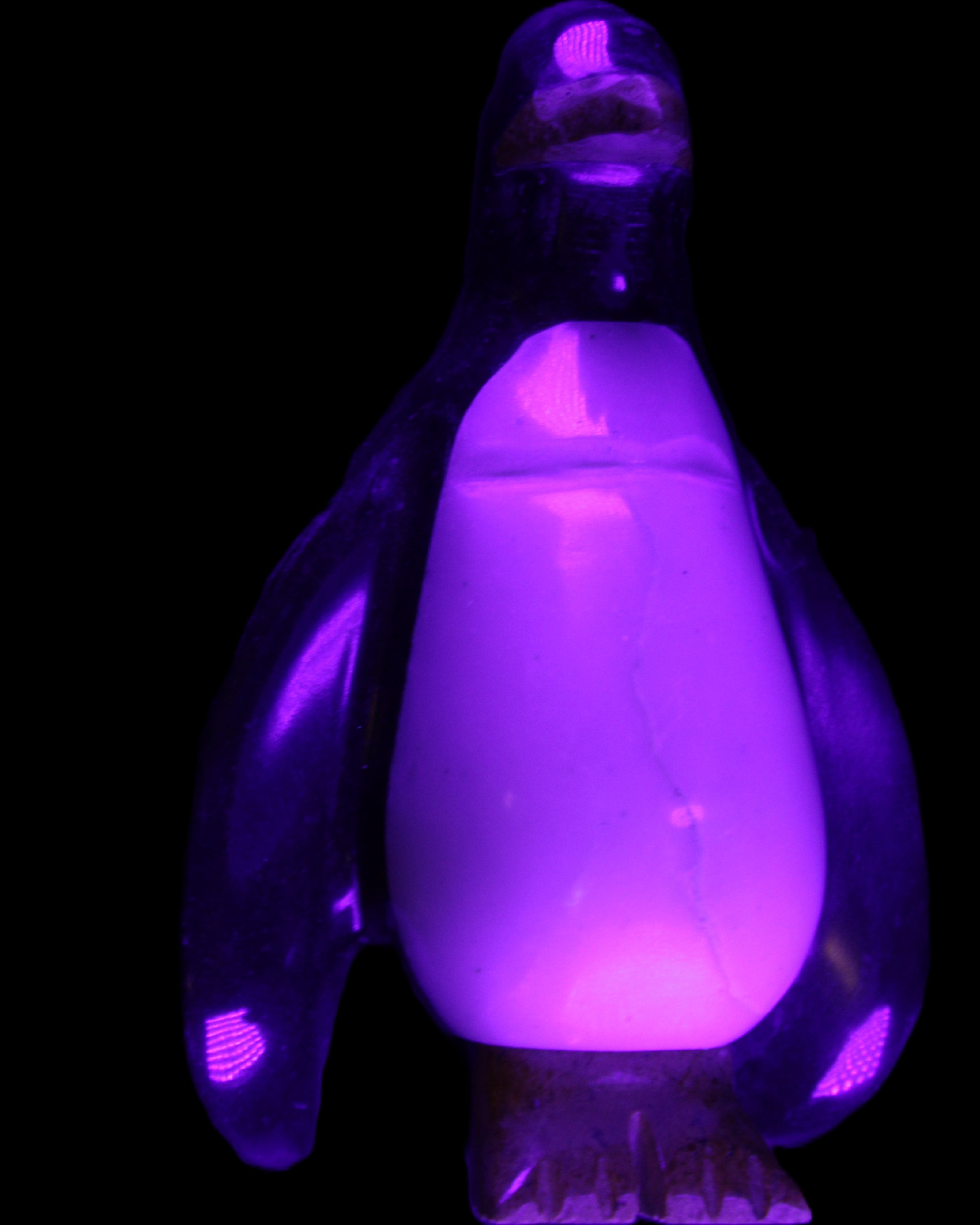 Jade hand-carved Penguin 97*64*150mm 801g in UV light - Rocks and Things Store