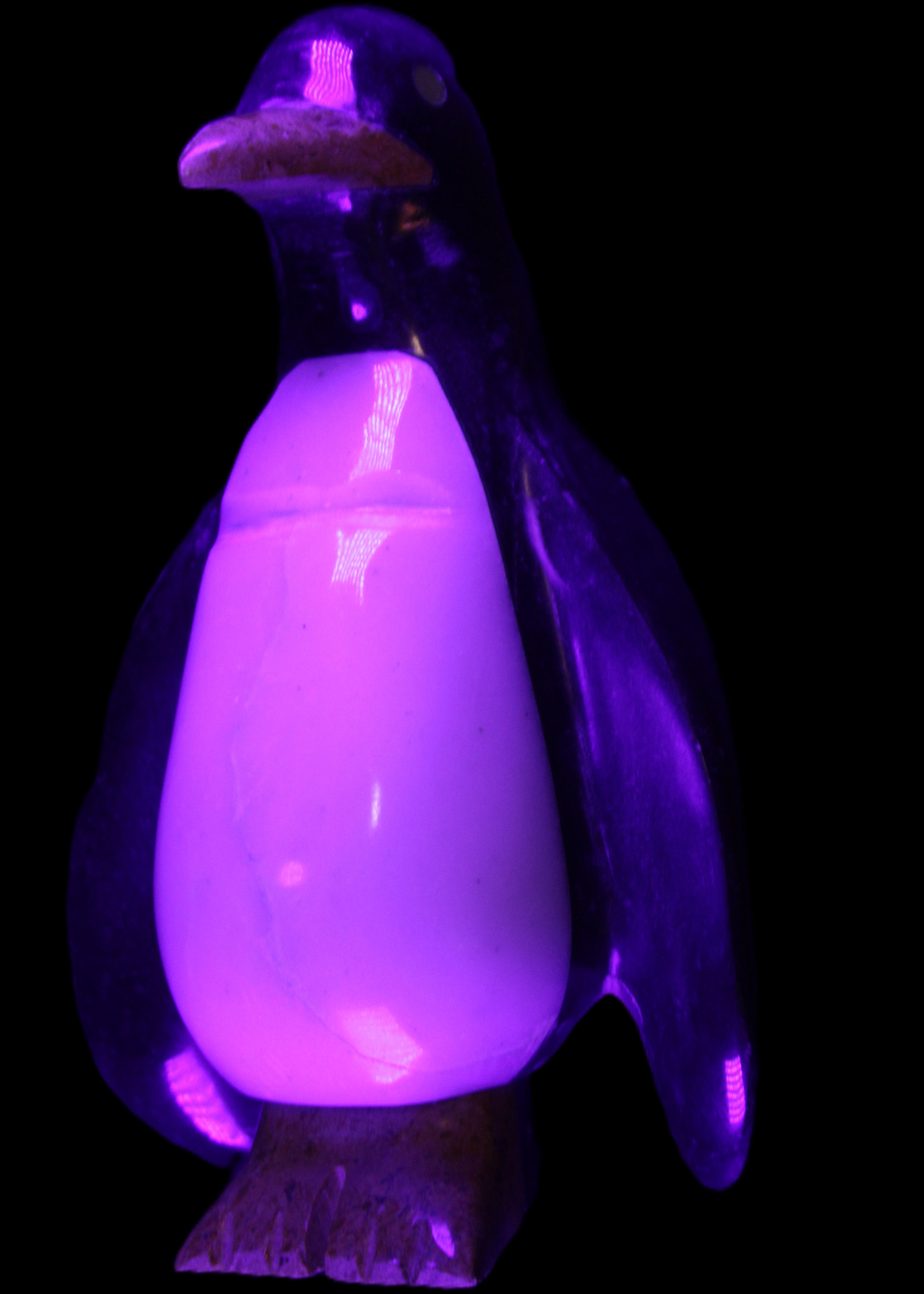 Jade hand-carved Penguin 97*64*150mm 801g in UV light - Rocks and Things Store