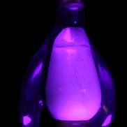 Jade hand-carved Penguin 97*64*150mm 801g in UV light - Rocks and Things Store