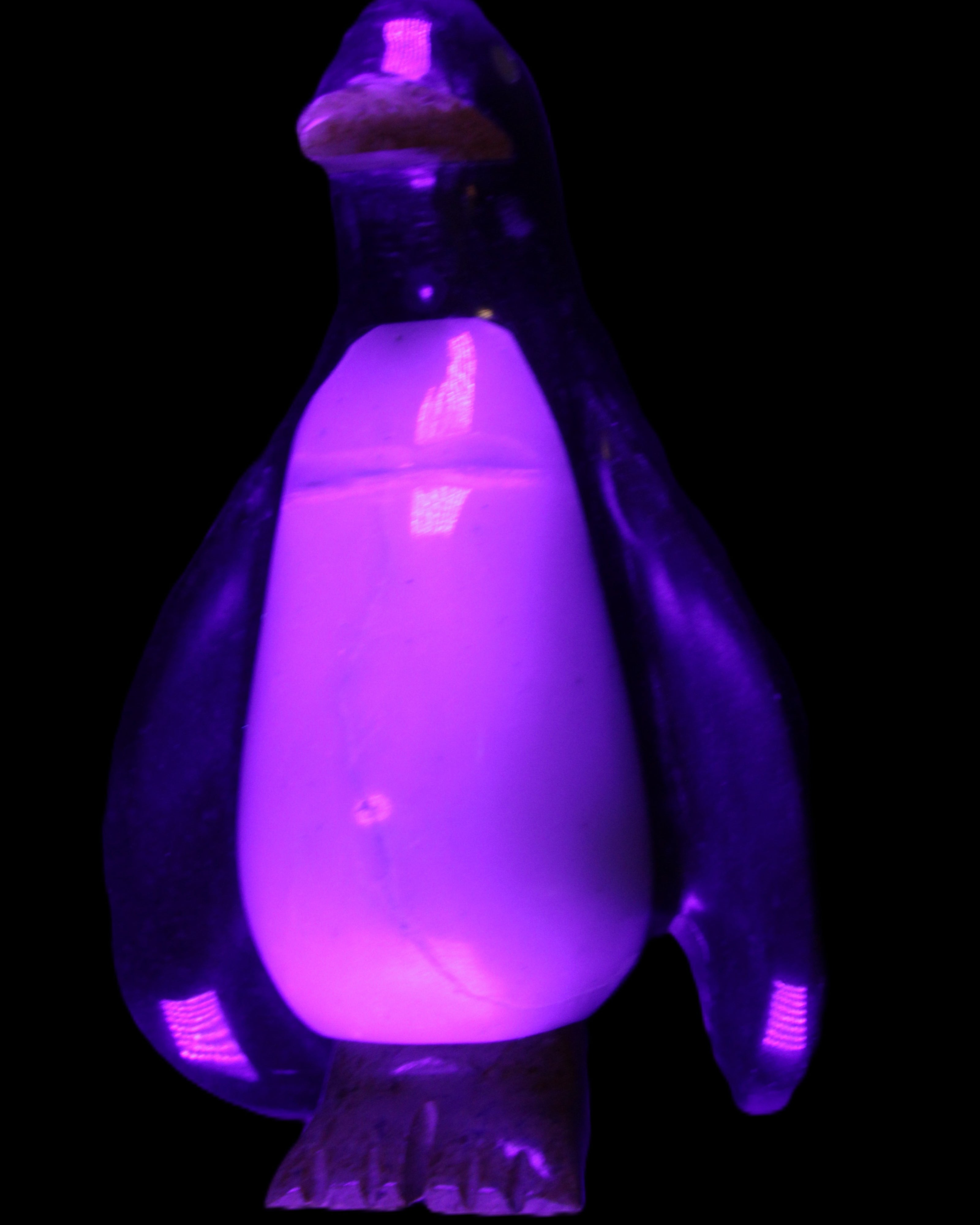 Jade hand-carved Penguin 97*64*150mm 801g in UV light - Rocks and Things Store