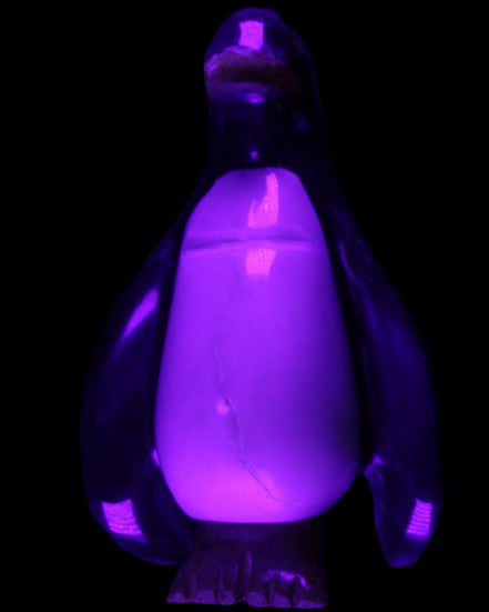 Jade hand-carved Penguin 97*64*150mm 801g in UV light - Rocks and Things Store