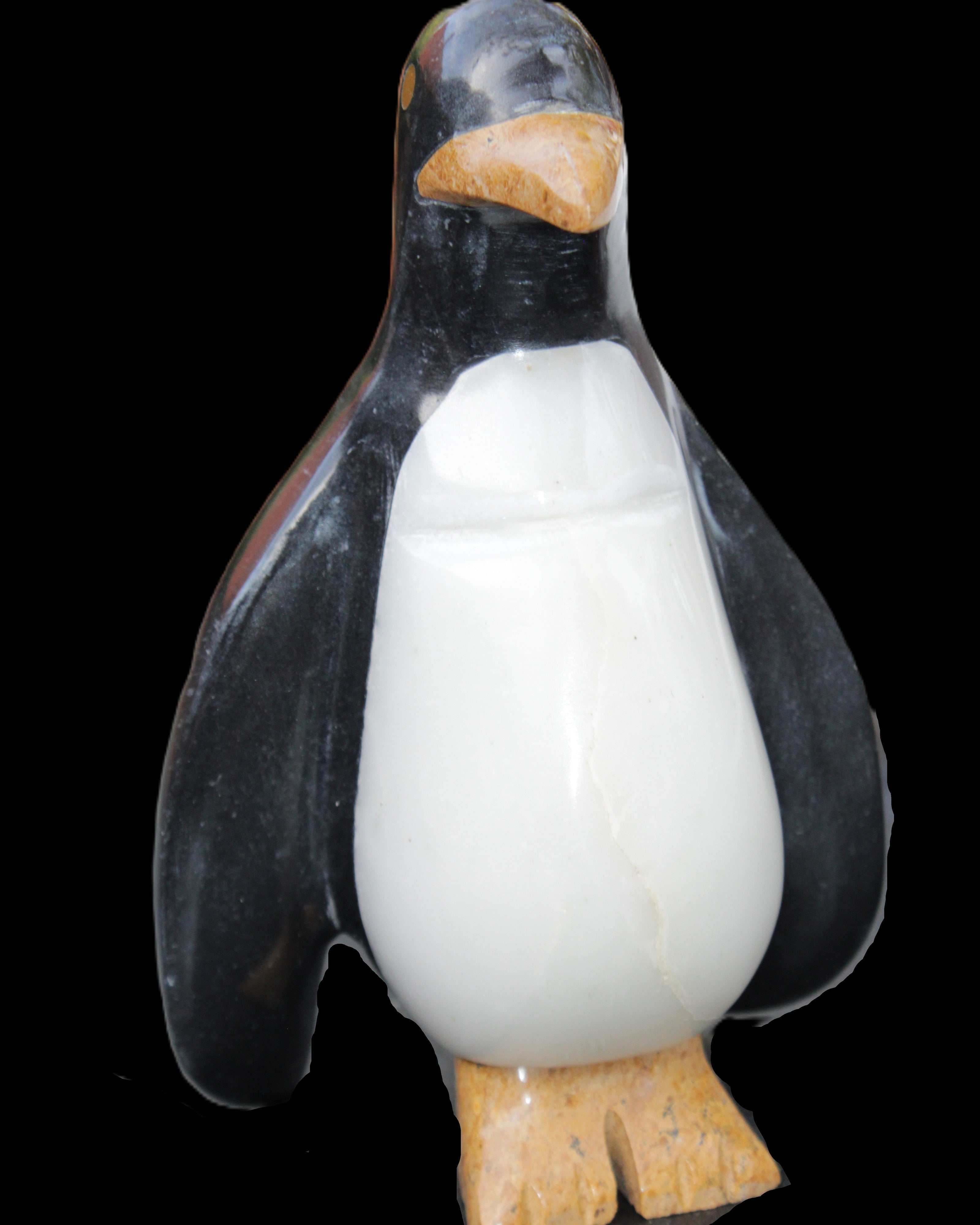 Jade hand-carved Penguin 97*64*150mm 801g in sunlight - Rocks and Things Store
