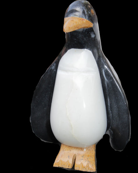 Jade hand-carved Penguin 97*64*150mm 801g in sunlight - Rocks and Things Store