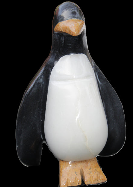 Jade hand-carved Penguin 97*64*150mm 801g in sunlight - Rocks and Things Store