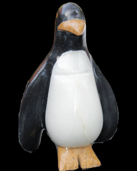 Jade hand-carved Penguin 97*64*150mm 801g in sunlight - Rocks and Things Store