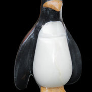 Jade hand-carved Penguin 97*64*150mm 801g in sunlight - Rocks and Things Store