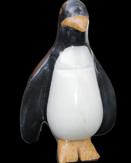 Jade hand-carved Penguin 97*64*150mm 801g in sunlight - Rocks and Things Store