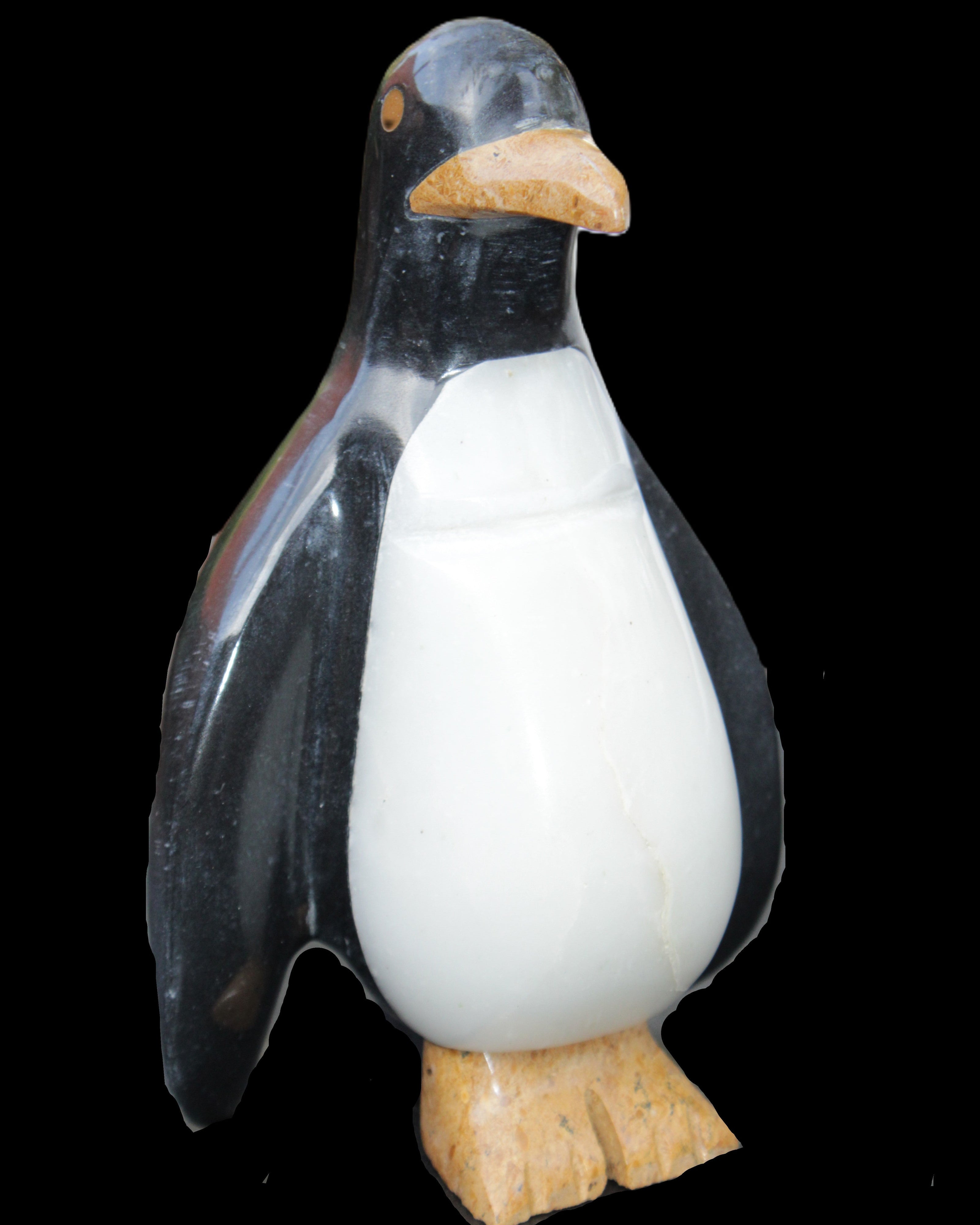 Jade hand-carved Penguin 97*64*150mm 801g in sunlight - Rocks and Things Store