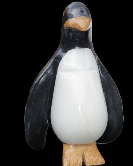 Jade hand-carved Penguin 97*64*150mm 801g in sunlight - Rocks and Things Store