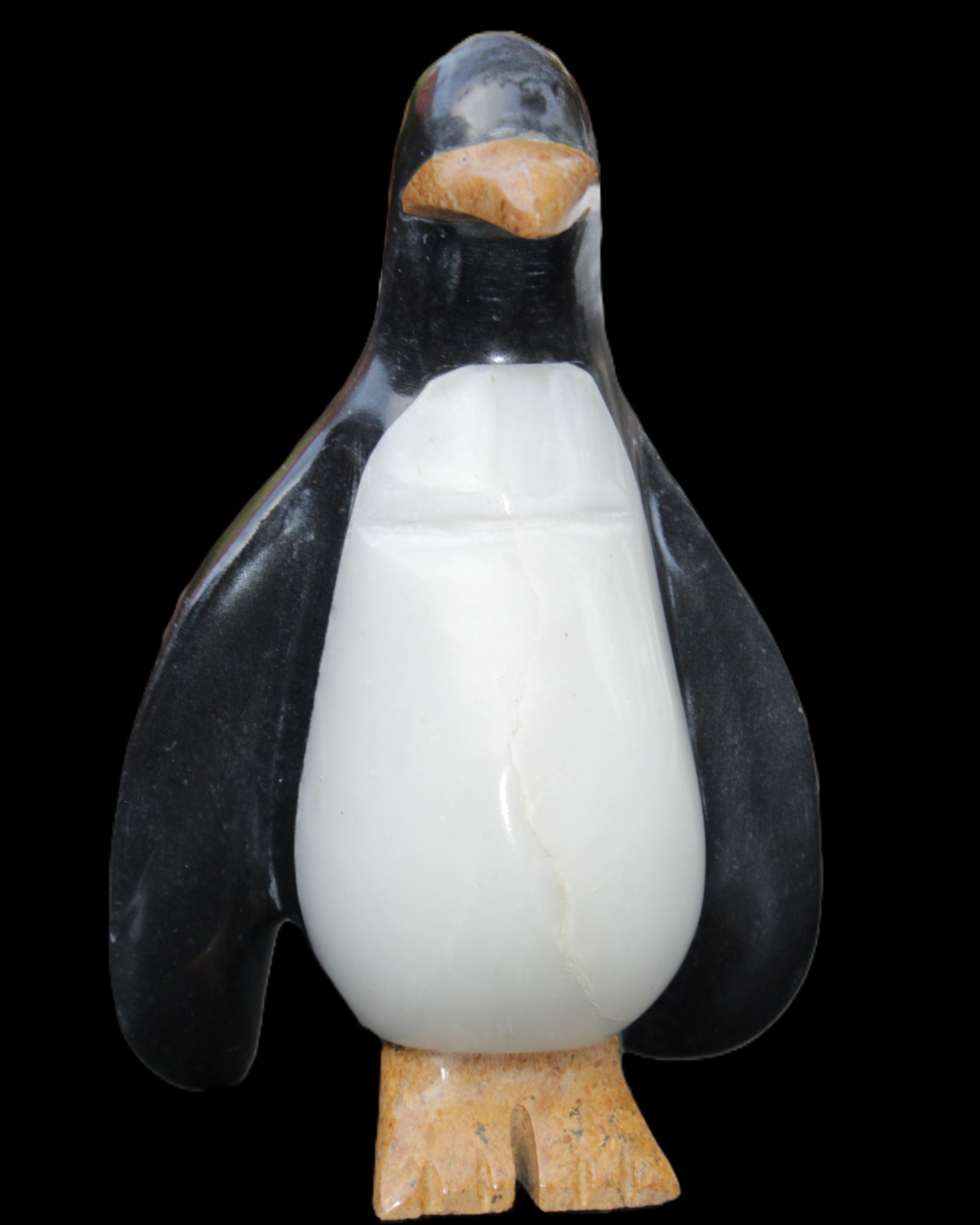 Jade hand-carved Penguin 97*64*150mm 801g in sunlight - Rocks and Things Store
