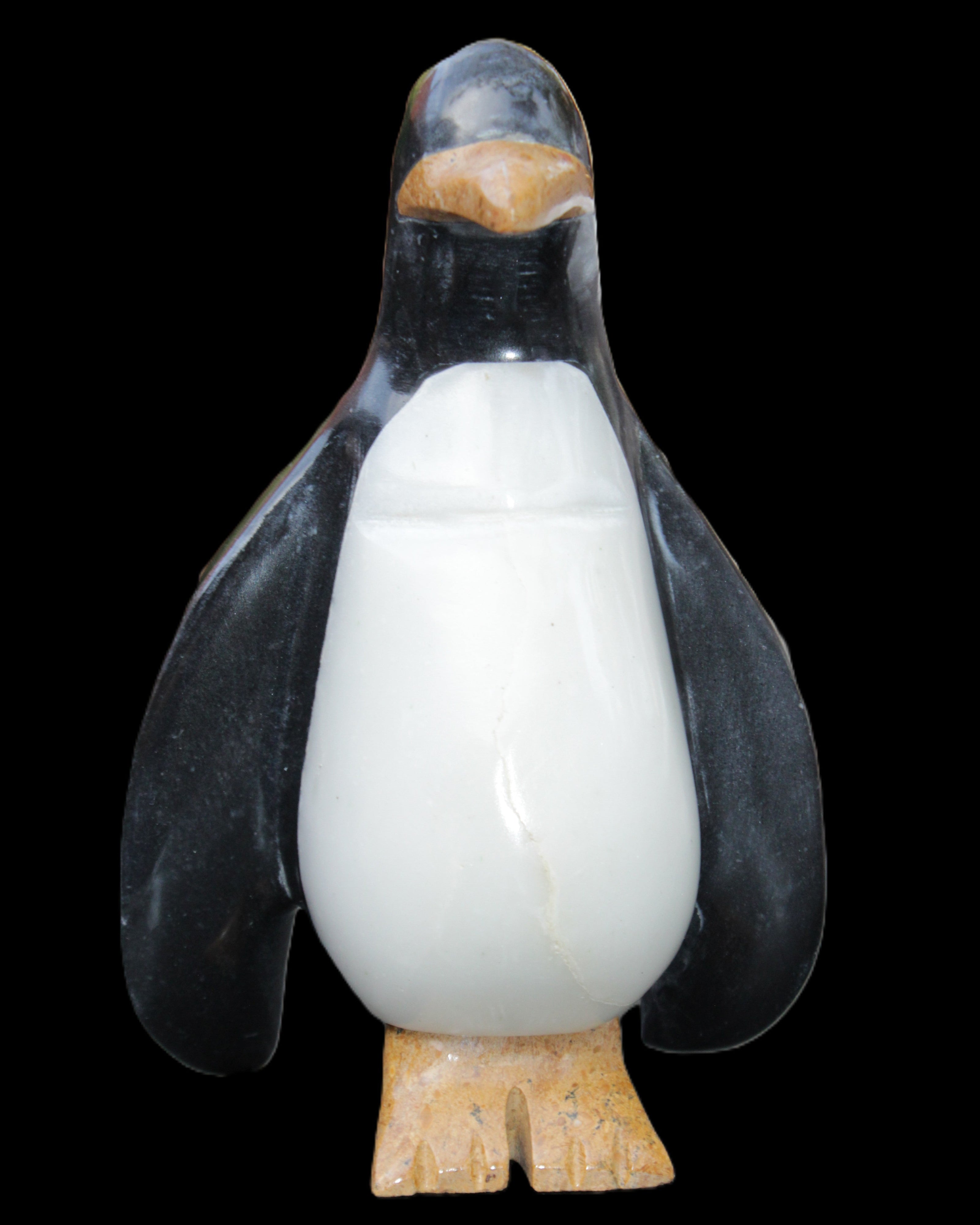 Jade hand-carved Penguin 97*64*150mm 801g in sunlight - Rocks and Things Store