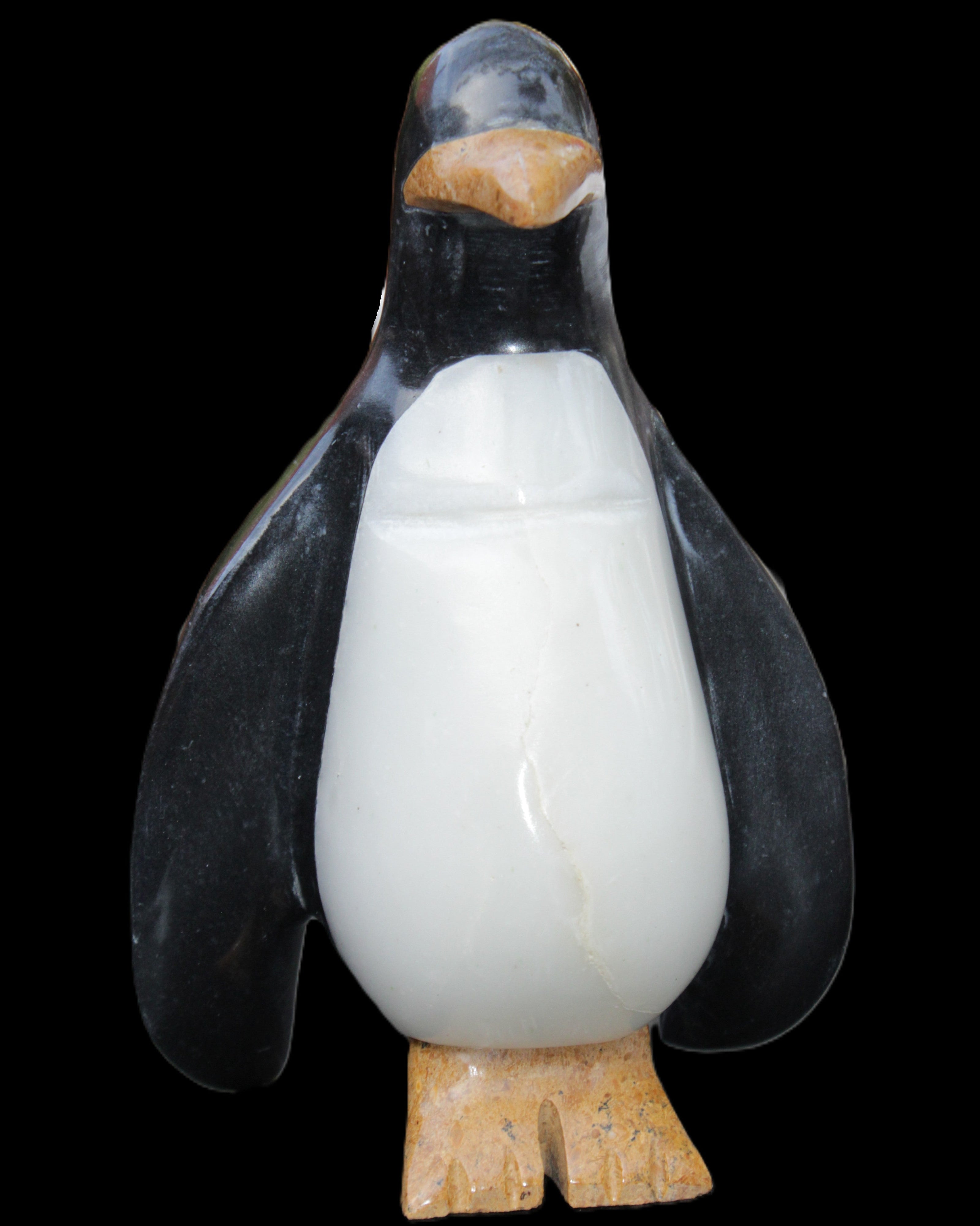 Jade hand-carved Penguin 97*64*150mm 801g in sunlight - Rocks and Things Store
