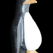 Jade hand-carved Penguin 97*64*150mm 801g in sunlight - Rocks and Things Store