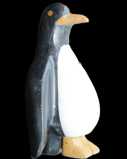 Jade hand-carved Penguin 97*64*150mm 801g in sunlight - Rocks and Things Store