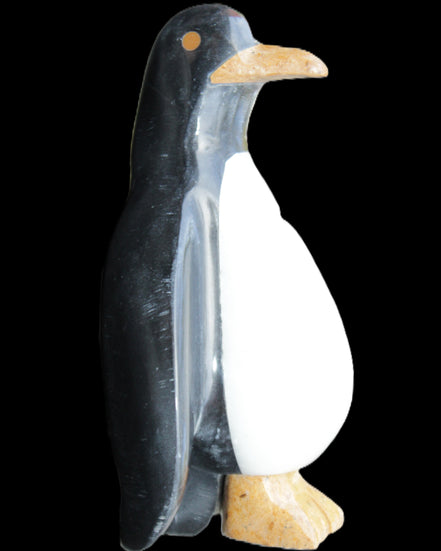 Jade hand-carved Penguin 97*64*150mm 801g in sunlight - Rocks and Things Store