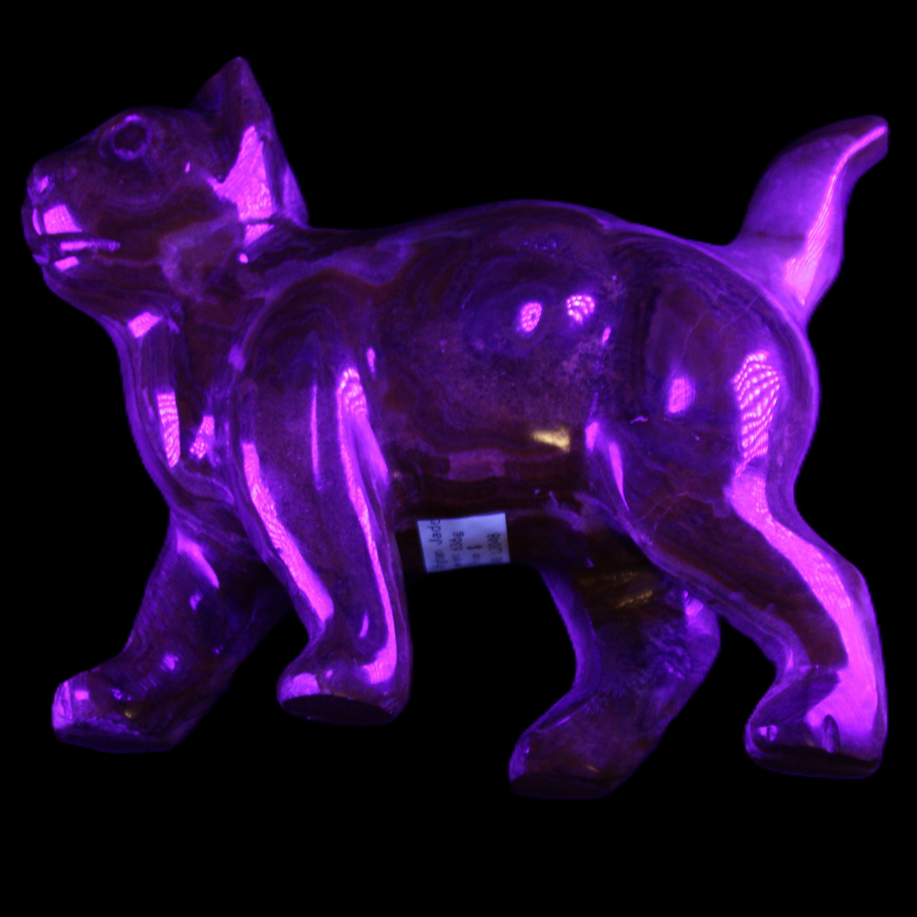 Afghan Jade hand-carved Cat 128*42*102mm 636g in UV light - Rocks and Things Store