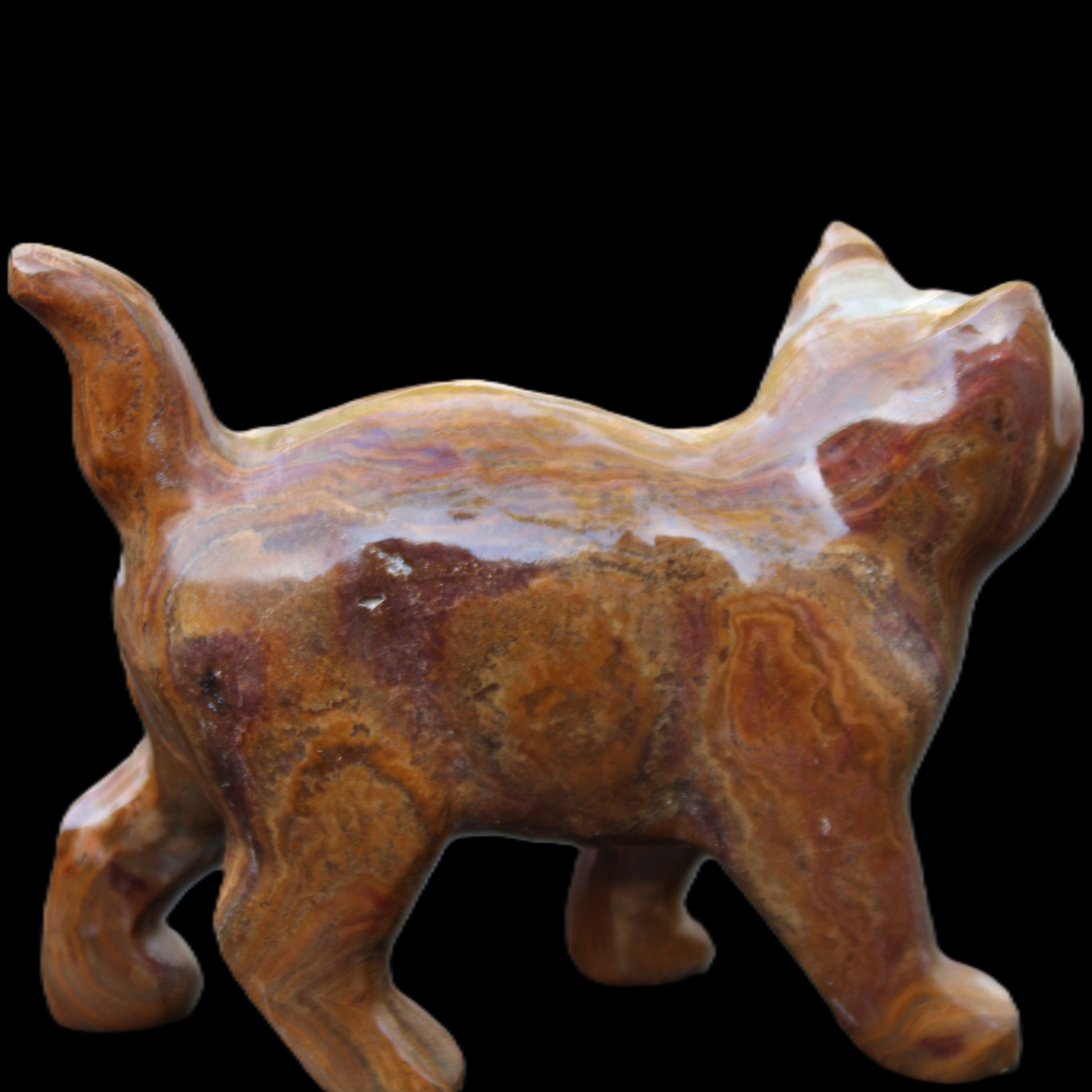 Afghan Jade hand-carved Cat 128*42*102mm 636g in sunlight - Rocks and Things Store