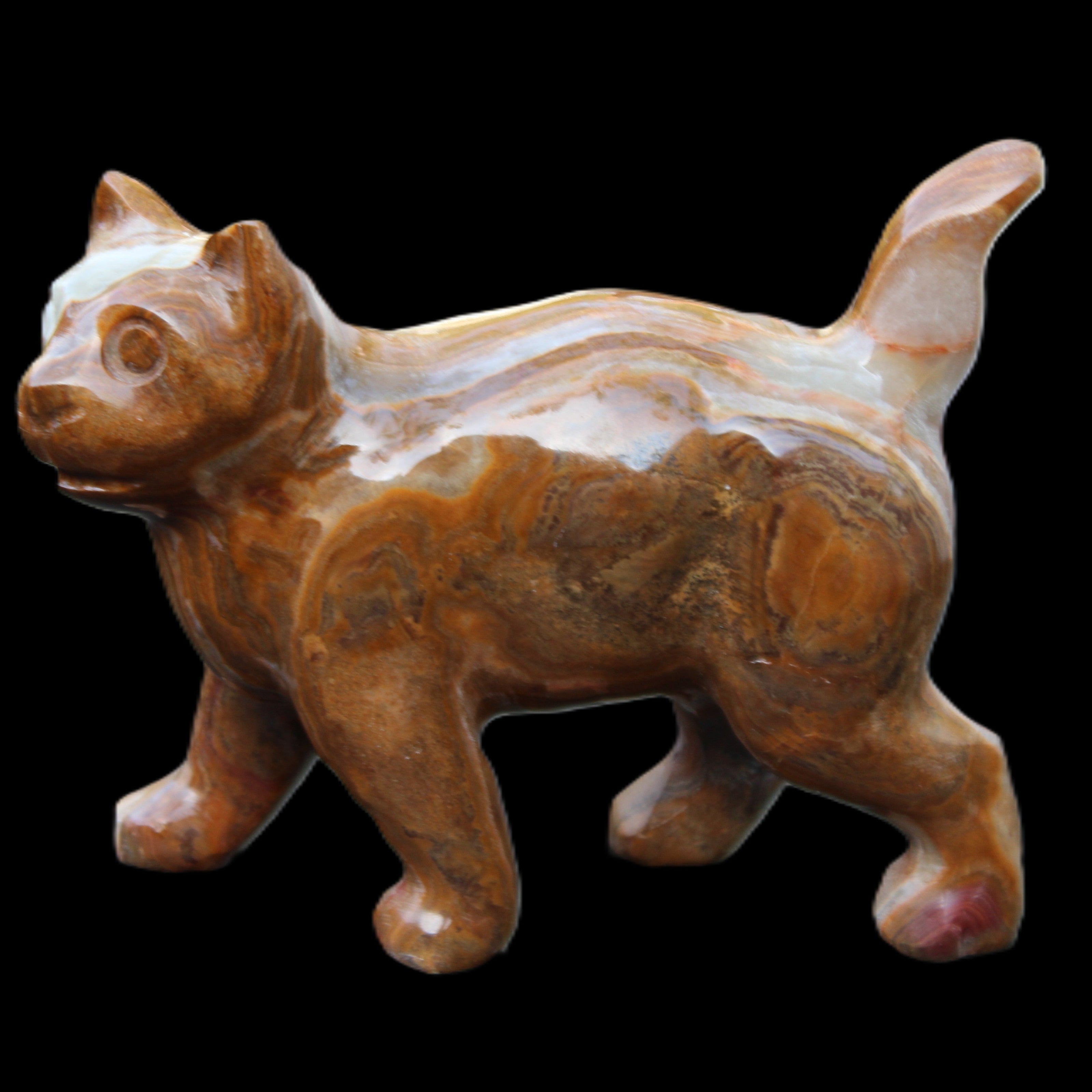 Afghan Jade hand-carved Cat 128*42*102mm 636g in sunlight - Rocks and Things Store
