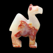 Afghan Jade hand-carved Camel 80*24*103mm 222g in sunlight - Rocks and Things Store