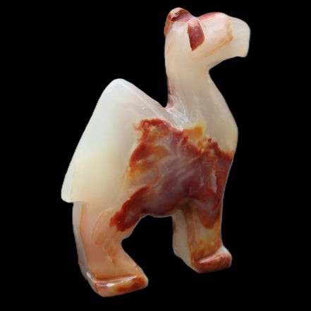 Afghan Jade hand-carved Camel 80*24*103mm 222g in sunlight - Rocks and Things Store