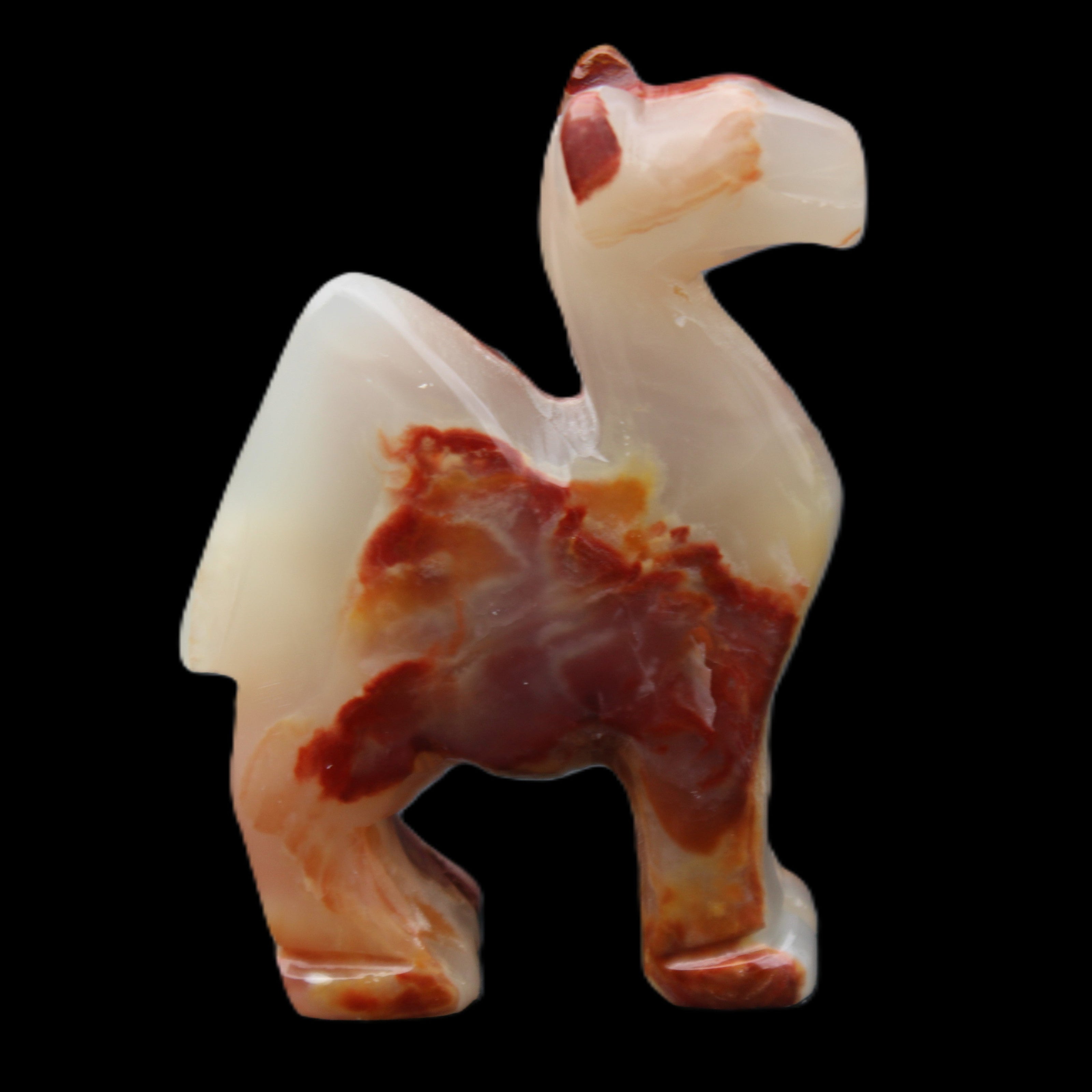 Afghan Jade hand-carved Camel 80*24*103mm 222g in sunlight - Rocks and Things Store